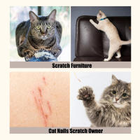 Rascador de cartón para gatos, texturas de alta densidad, promueve actividad, adecuado para compañero íntimo - details 2