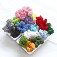 Plantas verdes artificiales de vida eterna, hierba de musgo, decoración de jardín de casa, Mini paisaje, flor falsa, regalos de manualidades DIY, 50g, nuevo - details 2