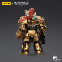 JOYTOY 1/18 figura de acción The Horus Heresy Legio Custodes Aquilon Terminator Squad Aquilon con Lastrum Storm Bolter - details 1