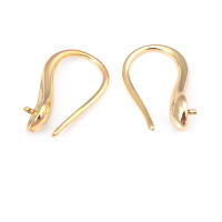Ganchos de Pendientes de Metal de Alta Calidad Color Oro-Platino Accesorios de Joyería DIY para Mujeres - details 36