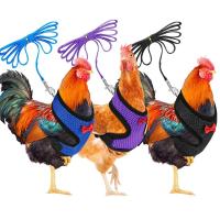 Correa de Mascotas de Pollo y Pato Collares Comodos y Transpirables con Lazo - details 4