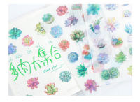 Pegatinas de Scrapbooking Kawaii de Plantas Succulentas en PVC Transparente 6 Hojas/Paquete Decoración para Diario y Papelería de Marca nbyinto - details 7