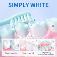 Polvo blanqueador para dientes para eliminar manchas y aclarar el polvo blanqueador, limpiador y cepillador para eliminar el color amarillento y mantener la boca fresca. - details 4