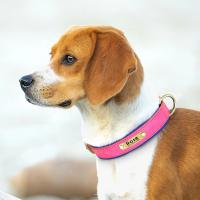 Collar de Cuero Personalizado para Perros Suave y Almohadilla Placa de Identificación de Mascota - details 20