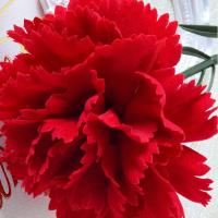 Claveles rojos artificiales de tacto Real, manualidades DIY, 54cm, flor de clavel de simulación, plantas falsas hechas a mano realistas, aniversario - details 1
