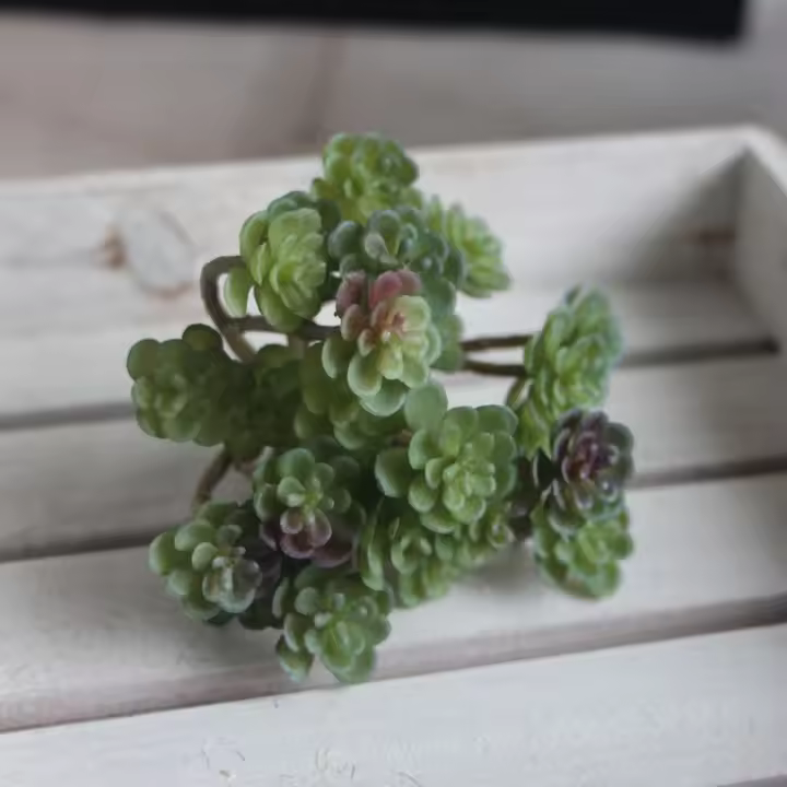 Mini planta de Cactus Artificial de 24 cabezas, planta suculenta Artificial de plástico de tacto Real, decoración de micropaisaje realista - 1
