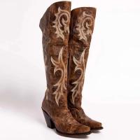 Nuevo Otoño/Invierno 2025 estilo europeo y americano tacón alto, tacón grueso, punta puntiaguda, botas de caballero de tacón alto - details 2
