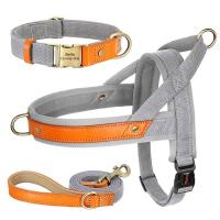 Collar de Cuero de Nylon para Perros Correa de Captura de Mascotas sin Tirón para Perros Pequeños y Grandes Correa de Vestir de Mascotas - details 6