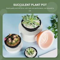 Flor de plástico ETA, plantas de interior, uso bonsái ETER, jugosa, 6 piezas. - details 3