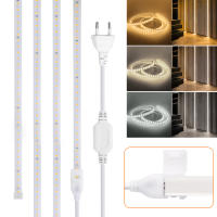 Tira de luces LED de 220V, cinta de lámpara Flexible de alto brillo, resistente al agua, con interruptor, para decoración de cocina, jardín y habitación al aire libre, 2835 - details 4