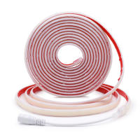 Tira de luces LED COB para decoración del hogar, cinta Flexible de neón resistente al agua IP68 con 320Leds/M, color blanco/azul hielo/rosa/amarillo/rosa/rojo, DC24V - details 11