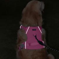 Chaleco de seguridad estilo correas para el pecho para mascotas, arnés para perro impermeable ajustable, conjunto de correa, chaleco tipo arnés para mascotas transpirable, para caminar - details 3