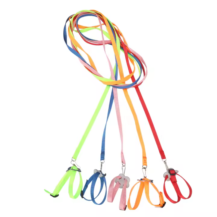Arnés ajustable para mascotas, correa para reptiles, Tortuga, Gerbil, lagarto, entrenamiento al aire libre, Correa suave, antimordedura, Multicolor, cuerda de tracción ligera - 1
