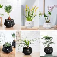 Orquídeas perforadas, plantas de interior y exterior de plástico reciclado, ETA para decoración del hogar. - details 8