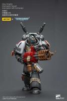 JOYTOY 40k 1/18 figuras de acción Anime 12cm caballeros grises Interceptor Strike Squad juguetes de modelos de colección - details 12