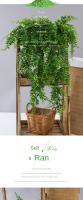 Planta Artificial de 90Cm Vid Decoración del hogar Hoja colgante de plástico Hierba Guirnalda Decoraciones para fiestas de bodas al aire libre Hiedra de ratán falsa - details 1