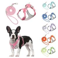 Juego de arneses con correas para perro y gato, chaleco de entrenamiento al aire libre, ideal como regalo para perros pequeños, medianos y grandes - details 1