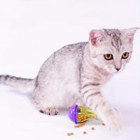 Juguete para gatos, dispositivo para fugas de alimentos, forma de hueso, dispositivo divertido de comida lenta, juego de mascota - details 1