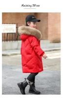 Chaqueta de Moda de Invierno para Niñas Cálida y con Capucha Parka de Algodón para Niñas de 8 a 12 Años - details 25
