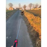 Correa para Perros Ajustable y Duradera Correa de Rodillo Retráctil para Perros Pequeños y Grandes - details 12