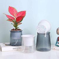 ETA hidropónico perezoso absorbente de agua de riego automático, mini jarrón de mesa de comedor ETA jugoso, decoración de bonsái para el hogar - details 4