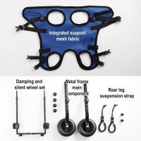 Ruedas ajustables para caminar para mascotas, soporte ligero para patas traseras de mascotas, herramienta azul para caminar, carrito para silla de ruedas para perros, perro con discapacidad - details 2
