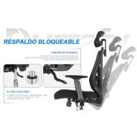 Silla de Escritorio