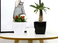 Sembradora de semillas, maceta de plástico para interior, contenedor para plantas, flor de jardín, maceta carnosa - details 3