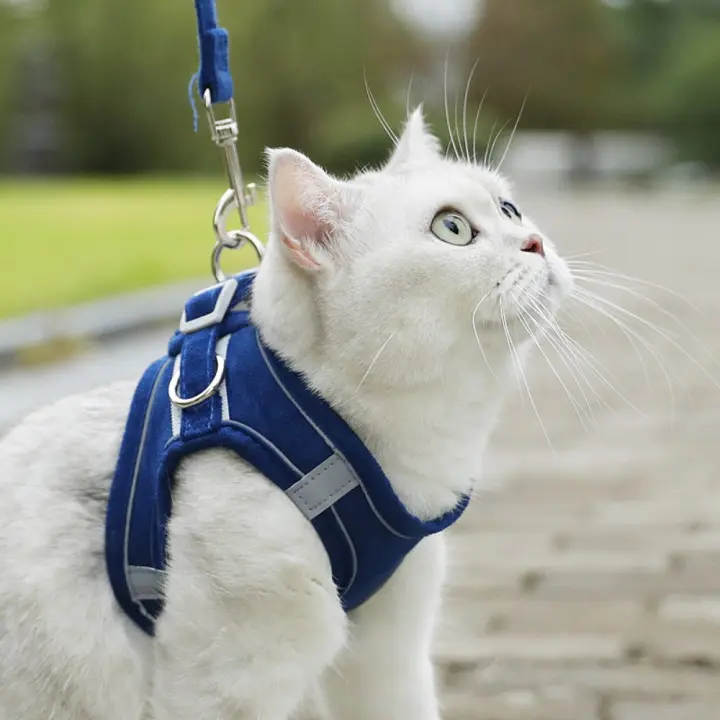 Cuerda para caminar para perros, correa reflectante para el pecho para mascotas, juego de correa para perro transpirable antiescape, chaleco tipo arnés ajustable para gatos y cachorros - 1