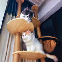 Poste de rascado de PVC para gato, marco de escalada para gato, poste de repuesto, cuerda de Sisal, Entangle, juguete para gatito, muebles para rascar - details 3