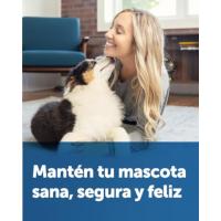 Mantén tu mascota sana, segura y feliz con PetSafe