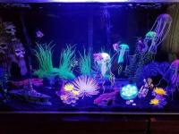 LED de buceo con batería RGB 10LED, luz subacuática para piscina de jardín nocturno, florero de boda - details 12