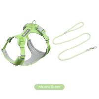 Juego de arneses con correas para perro y gato, chaleco de entrenamiento al aire libre, ideal como regalo para perros pequeños, medianos y grandes - details 0