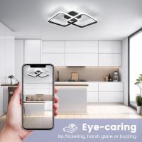 50W Plafon LED Techo Regulable, Lampara Techo con Mando a Distancia 3000K-6500K 59cm, Moderno Lamparas de Techo Salon Cuadrado para Dormitorio Salon Baño Cocina Comedor Pasillo - details 29