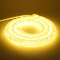 Luz de Tira LED Neón Moderna GAHADA Patrón de Reticulado de 360 Grados Impermeable IP67 - details 9