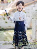 Conjunto de Falda Hanfu para Niñas Otoño 2025 Traje de Estilo Chino Antiguo para Actuaciones de Recitación Zapatos y Ropa - details 22