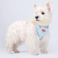 Conjunto de arnés y correa ajustable para perro, chaqueta de malla suave acolchada para gato, arnés transpirable con cuerda de tracción, juego de correa y collares para perro - details 3