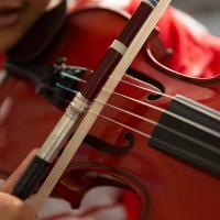 Kit de reemplazo de pelo de violín, herramientas de peinado de arco de Violín de 29,2 pulgadas, 3 piezas, pelo de violín Musical, pelo de caballo, blanco - details 1