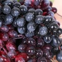 Uvas de Plástico Falsas Decoración para Decoración de Vino