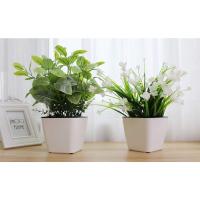 Macetas de Plástico para Plantas