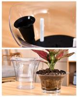 Maceta de plástico transparente para plantas con riego automático, cuadrado, nuevo diseño, para jardín - details 4