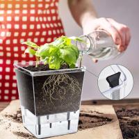 Maceta de flores transparente para jardín, maceta de plástico con autorriego, macetas transparentes para plantas de interior - details 5