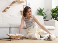Cuencos de cerámica elevados para gatos y perros,