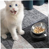 Comedero elevado para gatos, cuenco de acero inoxidable para gatos, diseño inclinado, cuenco de comida para gatitos - details 1
