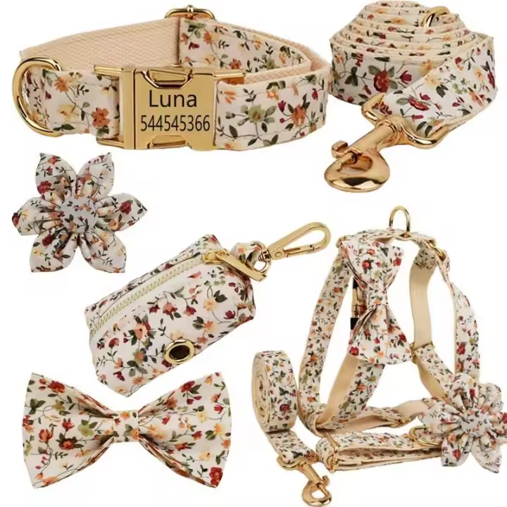 Conjunto Correa Perro, Collar con nombre personalizado Perros Pequeños y medianos, Placa Identificación personalizada, arnés - 1