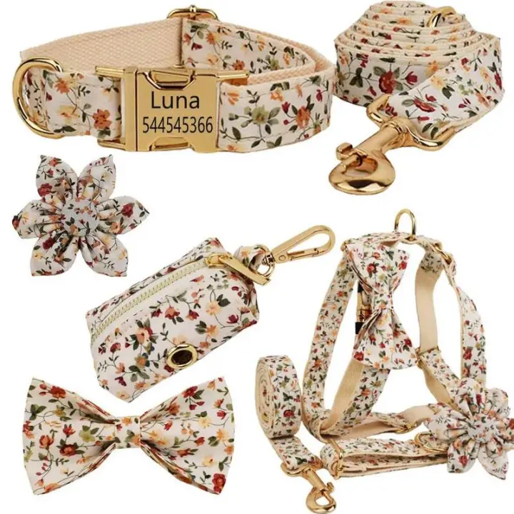 Conjunto Correa Perro, Collar con nombre personalizado Perros Pequeños y medianos, Placa Identificación personalizada, arnés - 1