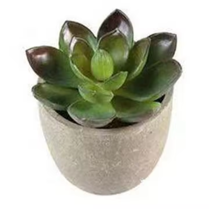 Plantas Suculentas Realistas Mini Jardines Nsai para Decoración del Hogar, Balcón, Oficina - 1