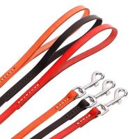 genuino mascotas pequeños, medianos grandes, Collar cuero duradero ustable para perros y cachorros, conjunto de correas XS-XL - details 4