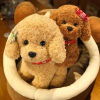 Peluche de Perro Realista de 22cm Juguete de Imitación de la Suerte Caniche Juguetes Hechos a Mano - details 6