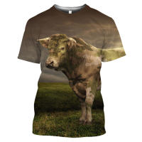 Camiseta de toro español para hombre, Tops con estampado 3D, sudadera de manga corta a la moda, jersey de cuello redondo de verano, ropa informal - details 7